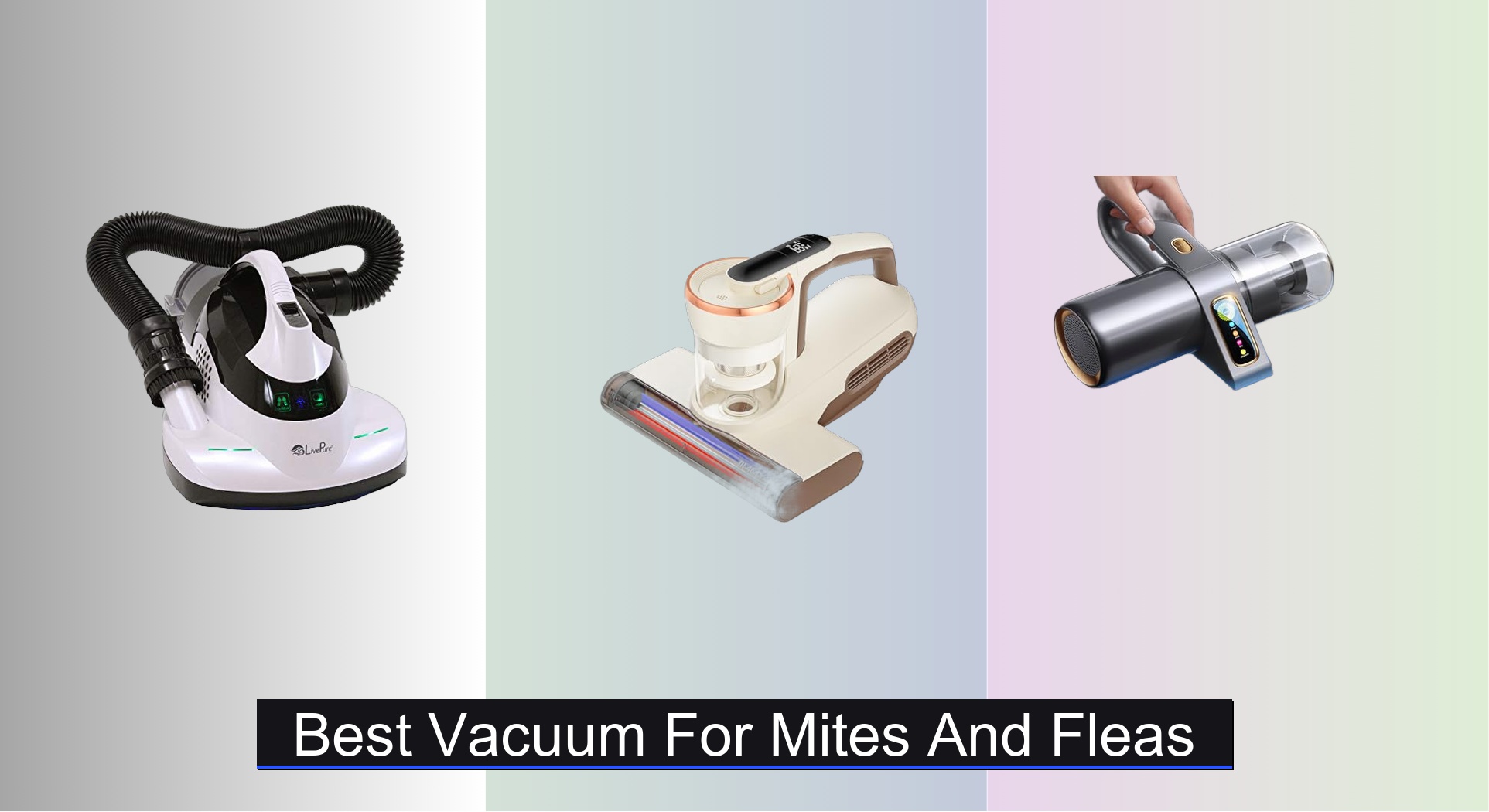 Image showcasing 4 Best Vacuums for Mites and Fleas of 2025 - Vacuums.Best